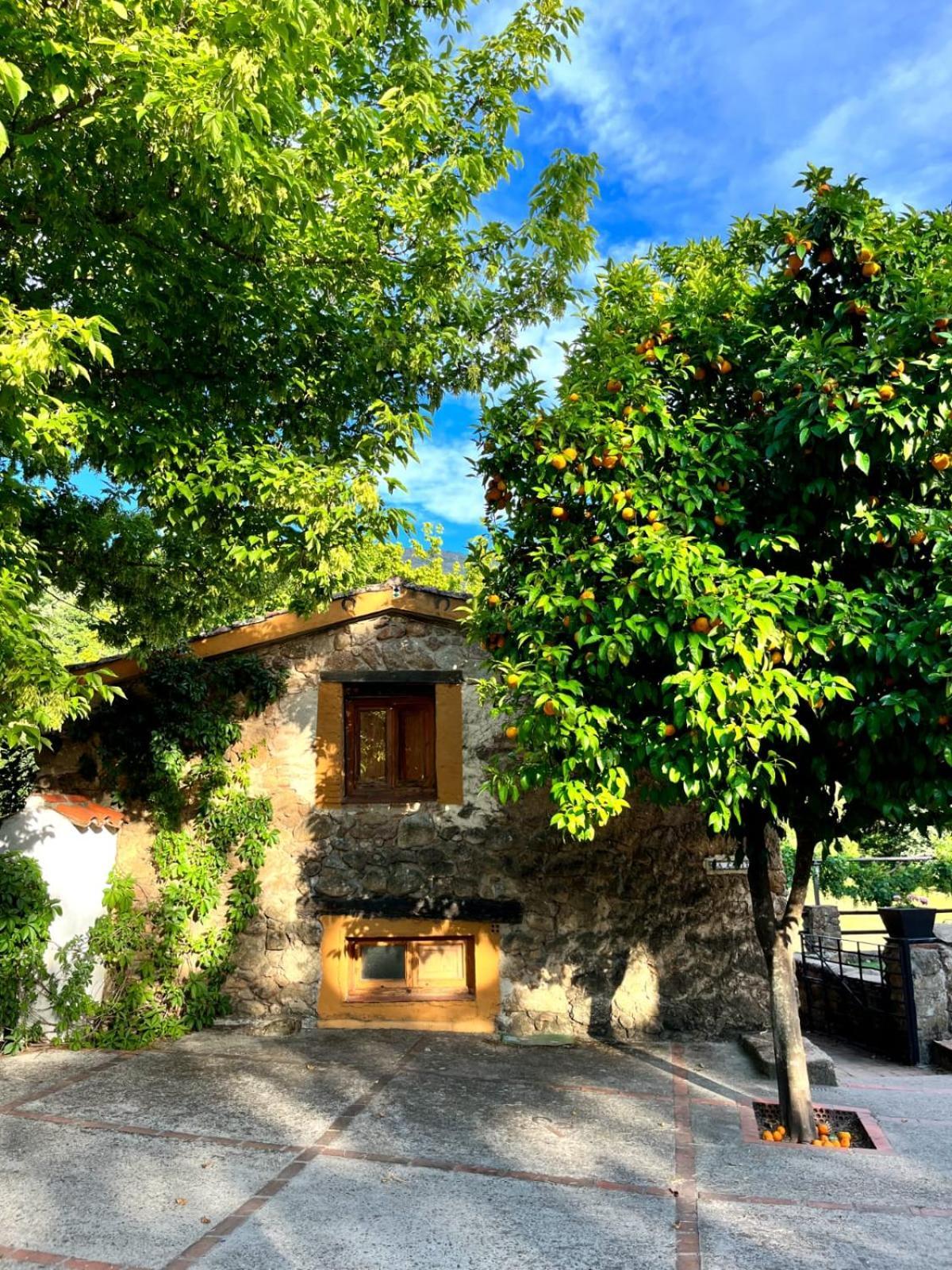 La Caseria Navaconcejo Exteriör bild